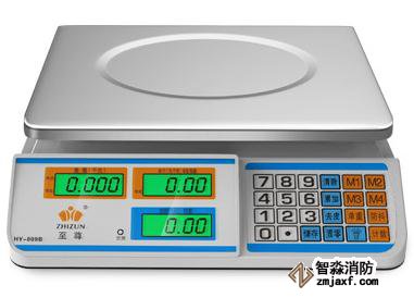 電子秤30kg